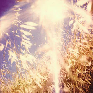 The Range of light wilderness